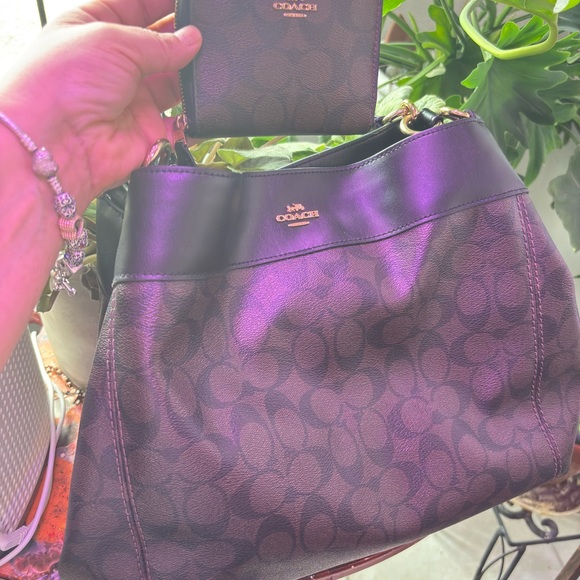 Coach Stylish Purple and Brown Hobo Bag